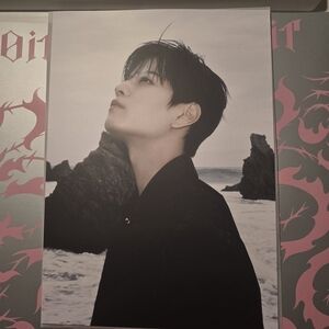 Stray Kids Do It Seungmin Poster Photo Board